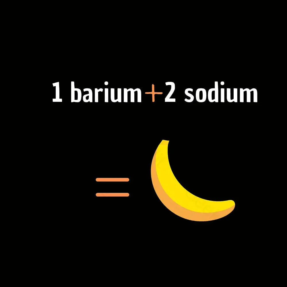 1 Barium 2 Sodium Nerd T-Shirt